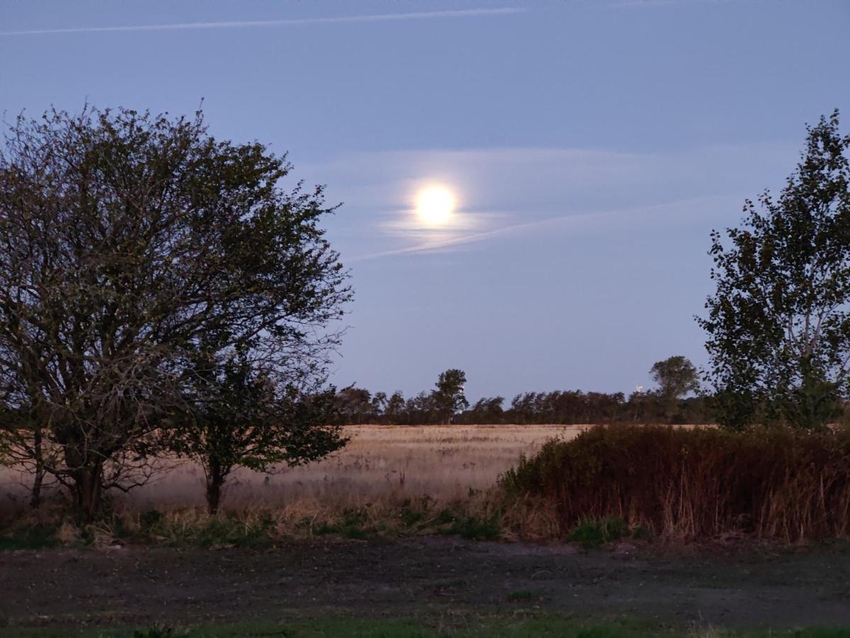 Gimleretreat Lejlighed Bøtø By Eksteriør billede